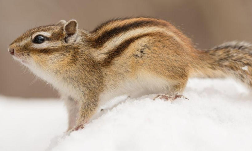 北京恒利源商贸发展有限公司轮播图5