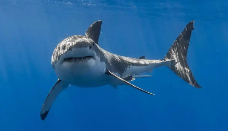 北京恒利源商贸发展有限公司轮播图4